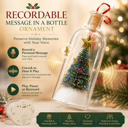 Christmas Message in a Bottle