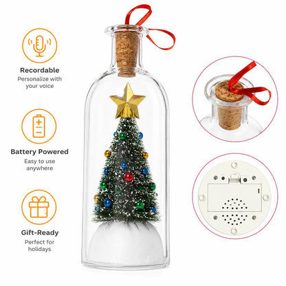 Christmas Message in a Bottle